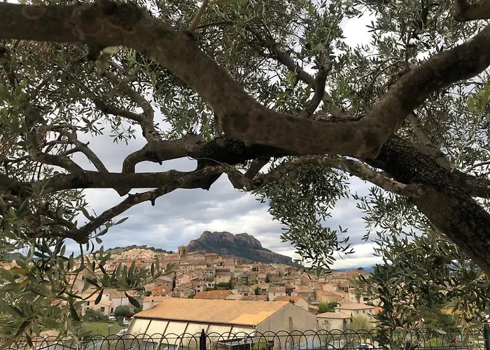 Studio El Paraiso Roquebrune Sur Argens